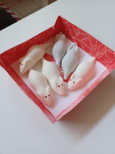 box with candied white mice, they have red eyes