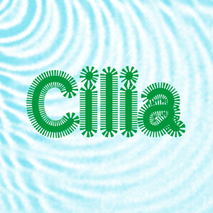 The word Cilia in a red colour, with protrusions around the letters. The blackground is watery light blue, the font is a modified Velvelyne, all is designed by Clara Bougon.