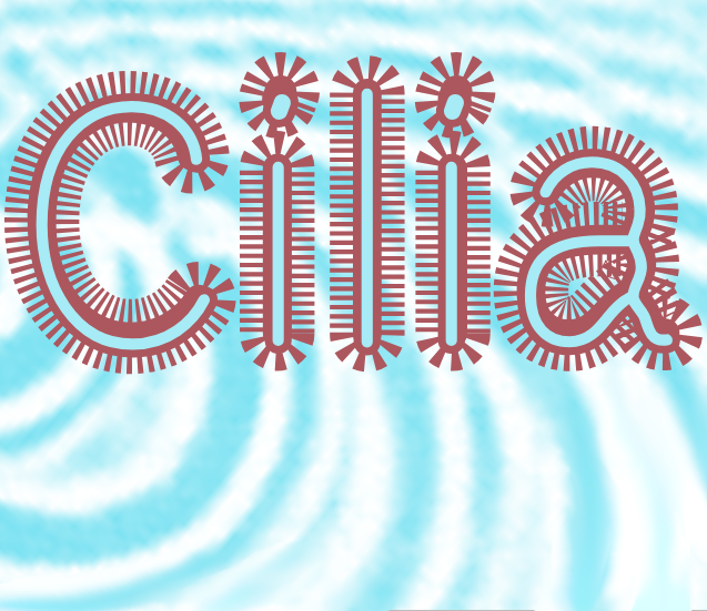 The word Cilia in a red colour, with protrusions around the letters. The blackground is watery light blue, the font is a modified Velvelyne, all is designed by Clara Bougon.