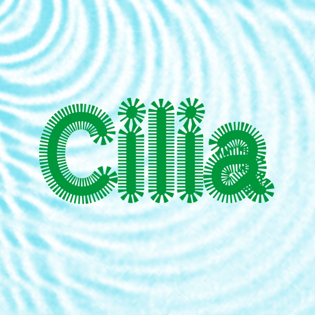 The word Cilia in a red colour, with protrusions around the letters. The blackground is watery light blue, the font is a modified Velvelyne, all is designed by Clara Bougon.